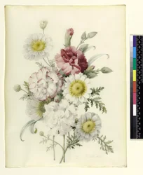 Bosje Gemengde Anjers en Witte Goudsbloemen